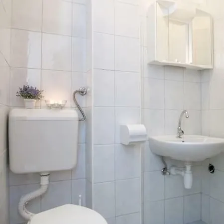 Vacation House Ante Holiday home Prvic Sepurine